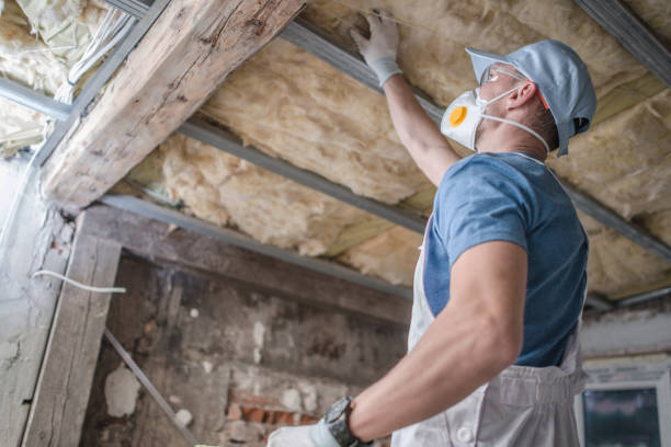Best Insulation Installation Services in Whitney, NV