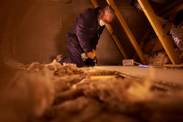 Best Types of Insulation in Whitney, NV